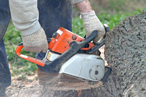 Best Lawn Maintenance Plans  in Pittsburgh, PA